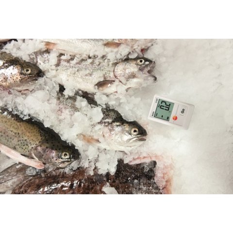 Реєстратор температури testo 174T Прев'ю 5